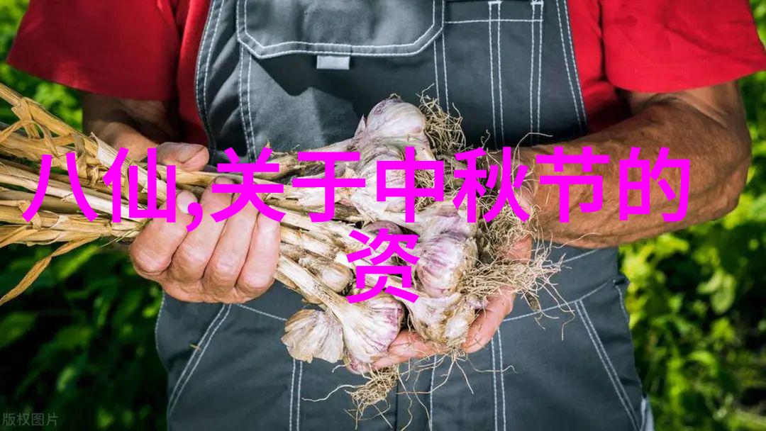 中国历史事件app-穿越时空的回声中国历史事件应用探秘