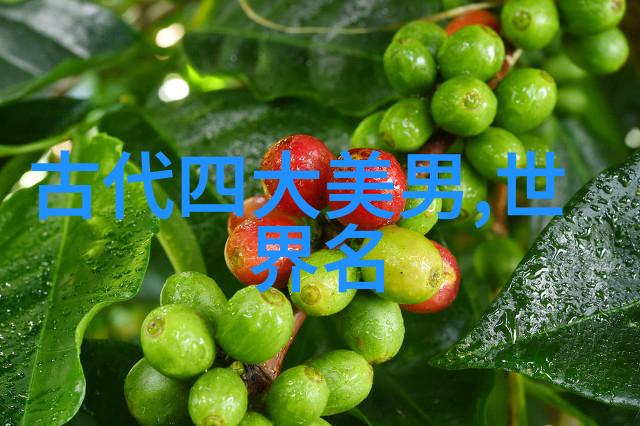 中国朝代历史时间图表-穿梭古今一览中国历朝时期的兴衰变迁
