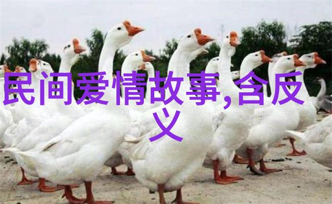 人与神之间的纠葛探索中国神话故事中的英雄形象