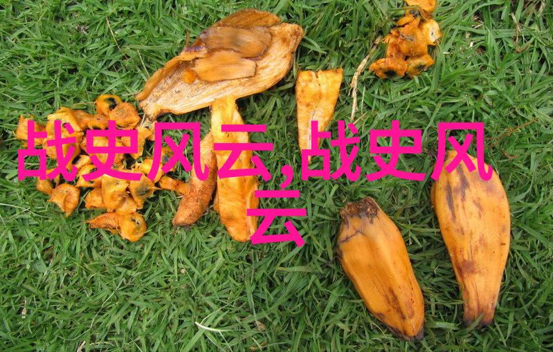 历史故事-穿越时空的记忆揭秘古今中外的传奇故事