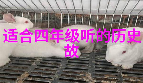 龙的打篮球大会