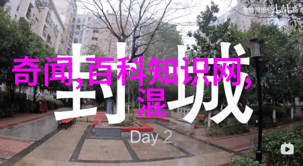 奇闻趣事大全集时空裂缝里的失落珍宝