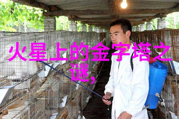 明朝那些事读书心得揭秘历史的迷雾