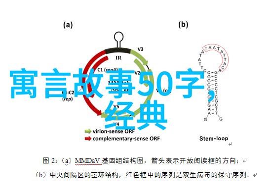 环境学院的杰出科研人士孙玉海致力于撰写卓越的科研立项申请书