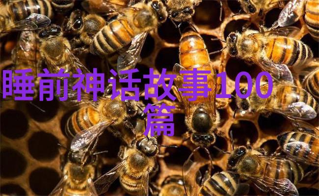 征途血与火的交响曲