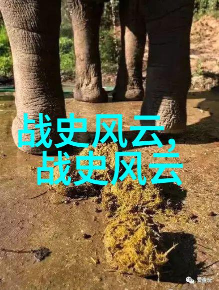 战史风云征途上的英雄与传奇