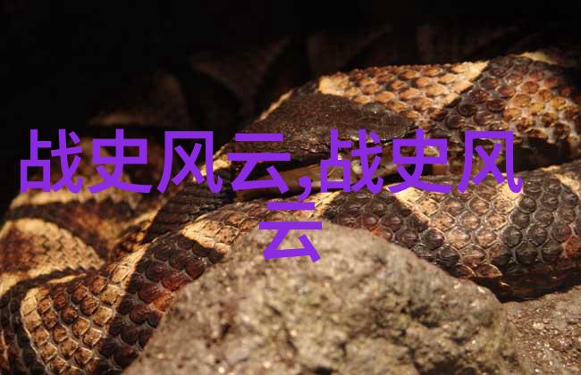 古籍中的奇闻趣事唐代女扮男装的画师与皇帝的秘密作品