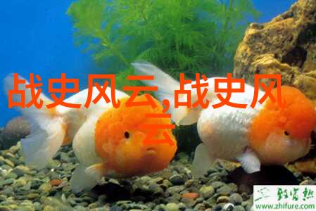 河南豫剧打金枝全集之杨兰春豫剧剧作者与导演功绩显赫