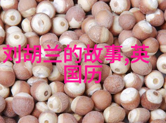 王者之巅中国历史上的英杰与忠臣