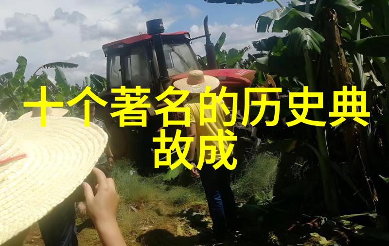 南海蛟龙 海底世界里的巨兽与智者