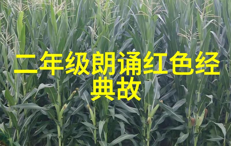ACCA少女SDANVI我和SDANVI的奇妙冒险
