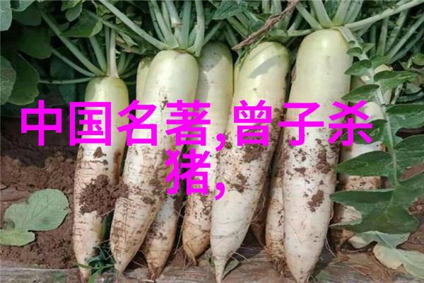 战史风云(铁血战士的英勇传奇)