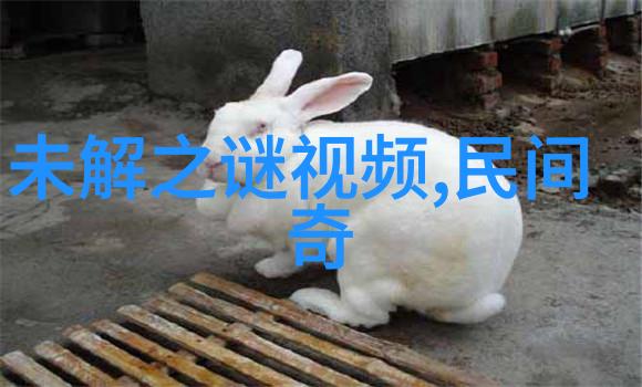 李世民的电视剧中体现传统武术的实战运用场景