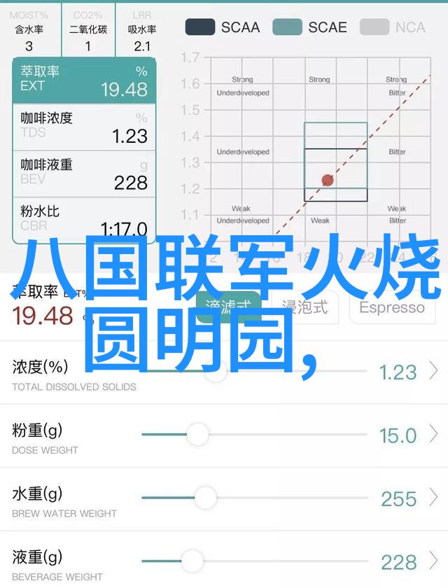 文化大革命中红卫兵现象背后的社会原因是什么
