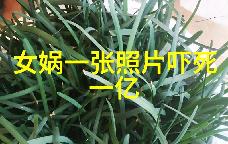 从古老传说到现代心灵讲述神话故事的艺术与魅力