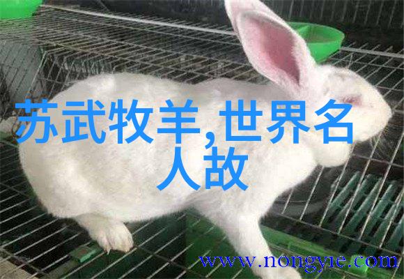 阿老瓦丁两晋时期诗人代表作中的自然韵味