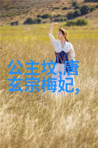 阿拉丁与神灯中主人公的成长历程又是怎样的