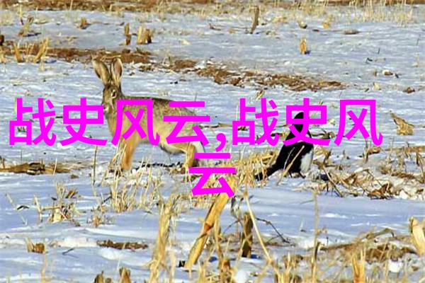 中国学位的法术师曾习勤道长的传奇法庭