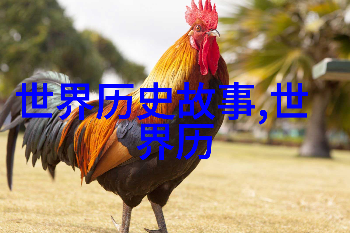 寓言故事背后的智慧二年级学生的心灵探索