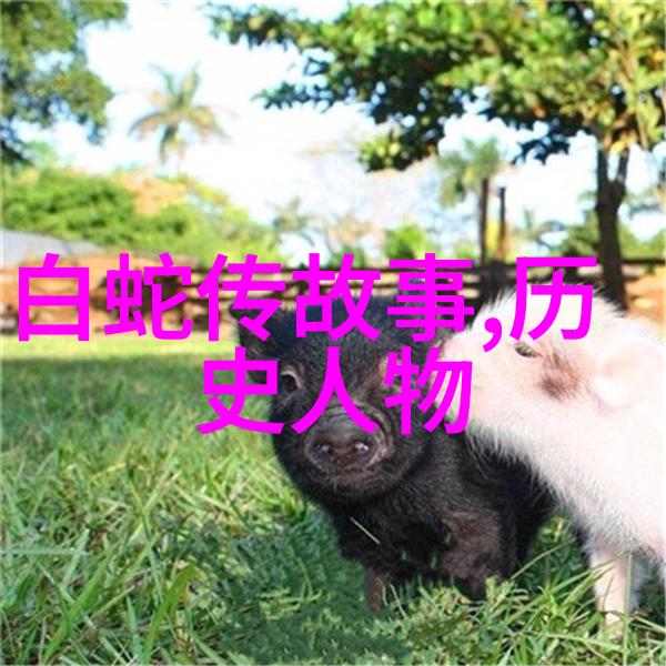 唐朝三杰李靖窦娥与贾耽的传奇