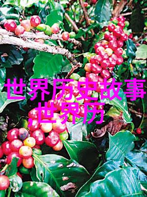 隐秘的皇权揭开历史尘封的宫廷野史