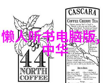 梦想飞翔者埃莉恩库鲁兹女性航空先驱故事