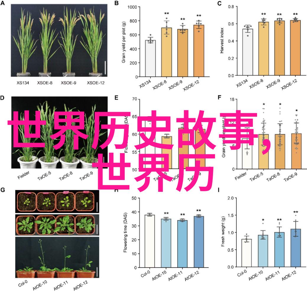 河南戏曲红脸王唐派刘岩