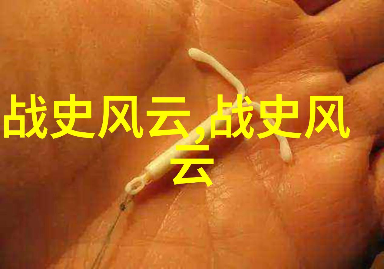 探索中华历史的长河五千年的回响与展望