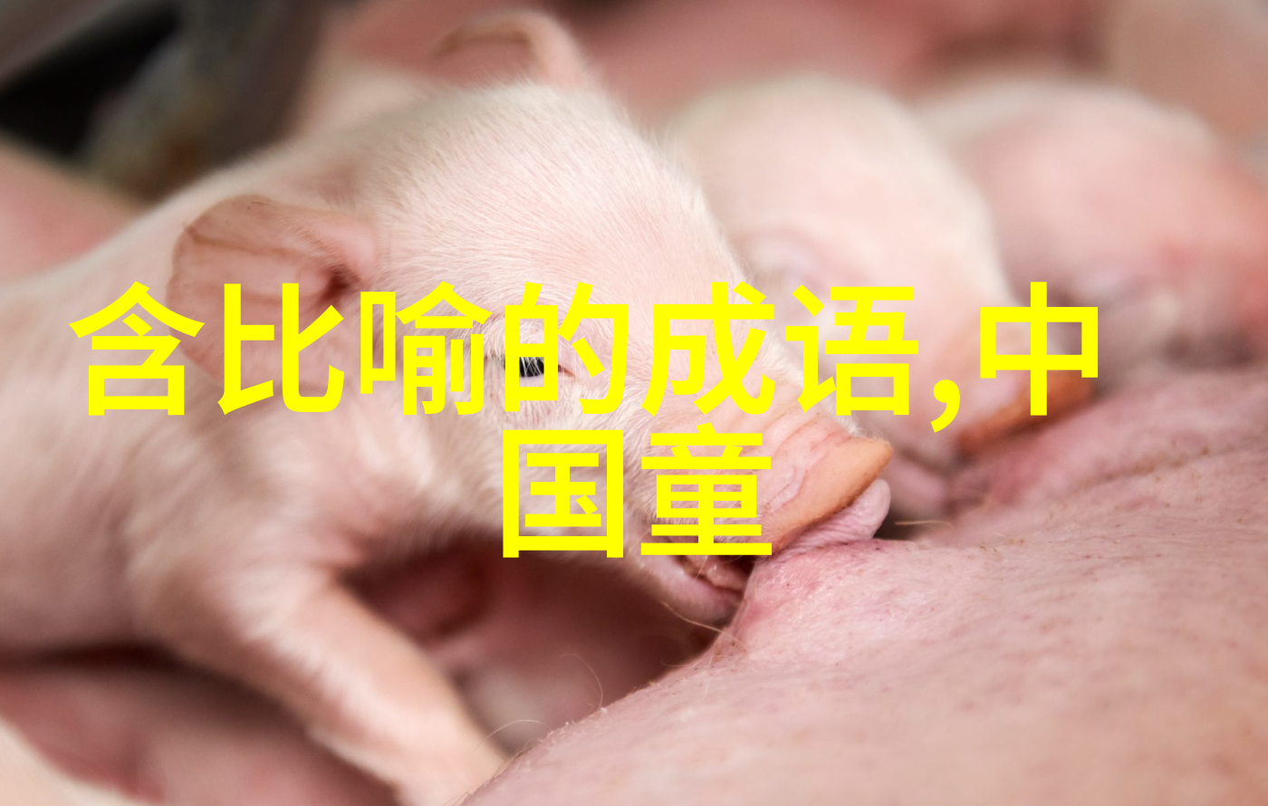 黄梅戏名人赵媛媛反复演绎旦行魅力