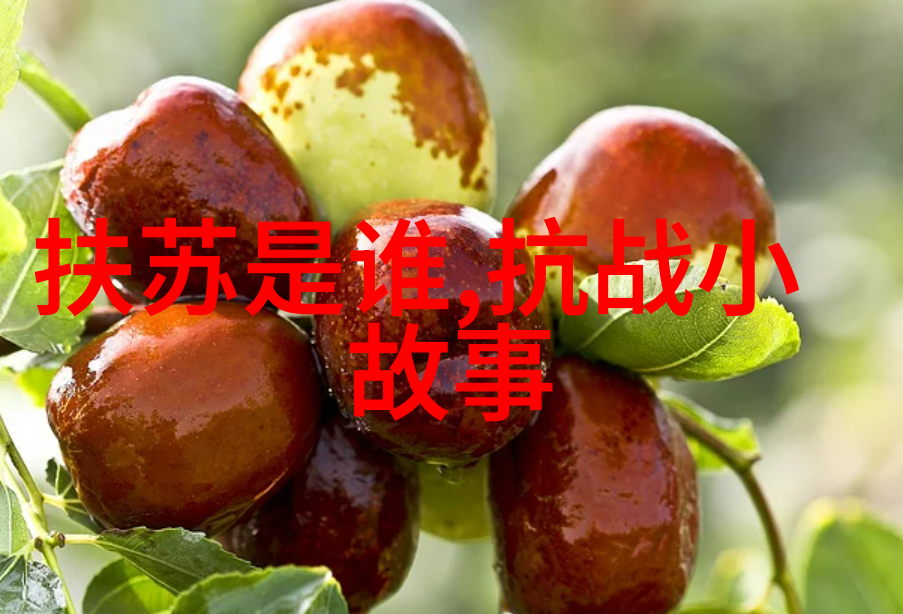 李加成京剧票友纪念马连良演唱会