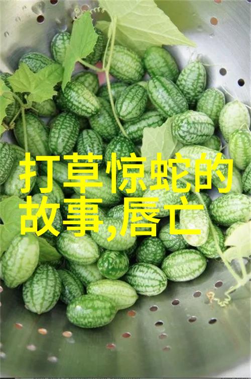 第六届黄梅戏艺术节数据驱动下的文化盛宴黄梅戏十八相送成果显著
