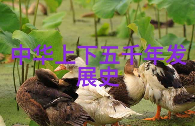 古代辉煌朝代轮回文明传承史诗长卷