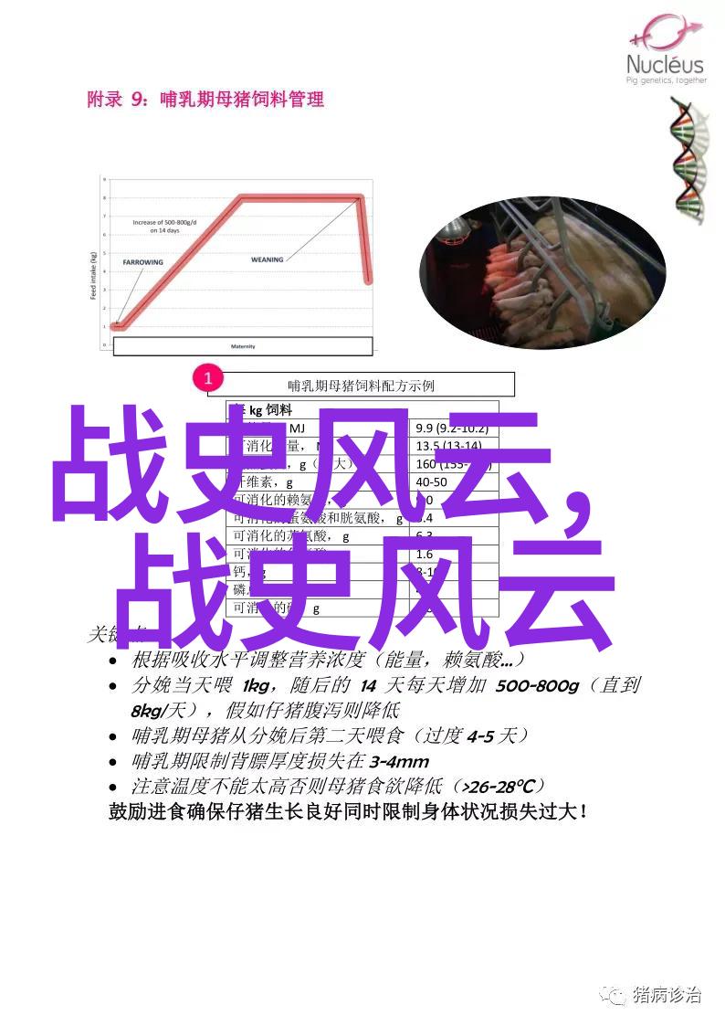 古老森林中的神秘少女古代森林里的神奇女孩
