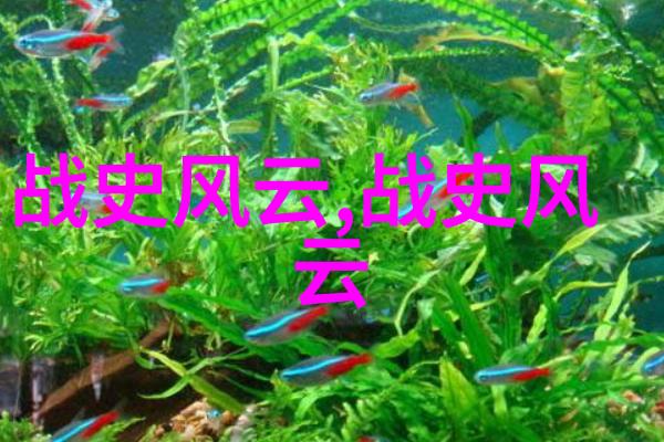 元朝中国-元代的国号与民族称谓探究