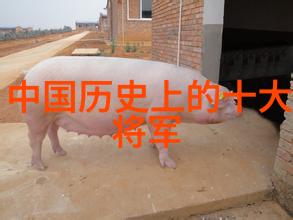 天降甘露地裂火焰