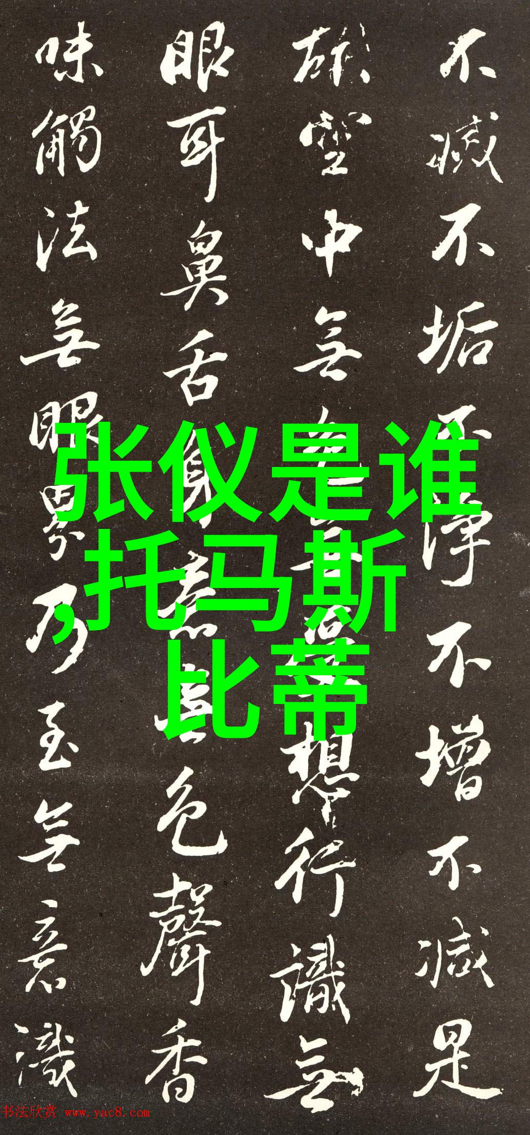 索海燕抬花轿豫剧电影完整版免费观看在社会的舞台上展开