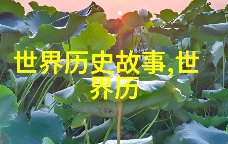 二战英雄的英勇事迹史蒂芬哈珀与他的飞行机器