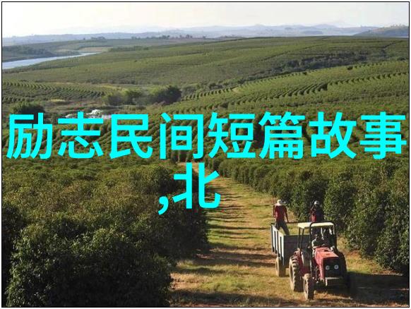 农村的逆袭人文历史小故事中的数字奇迹