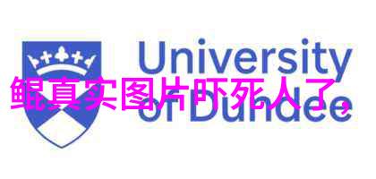 古埃及神话大猫之神巴斯塔的故事探索古埃及宗教信仰中的动物崇拜