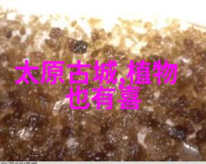 神话纹章古老传说之灵魂回响