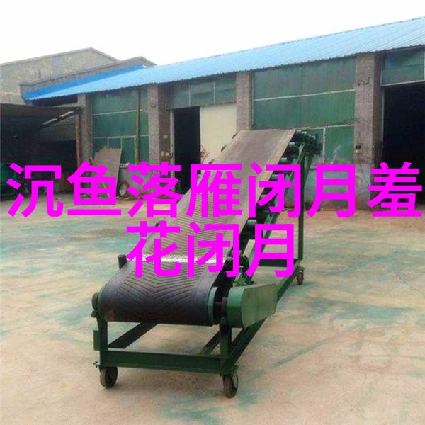 猴王的宝石之谜
