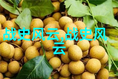 探索历史的长河古今中外丰富多彩的历史故事
