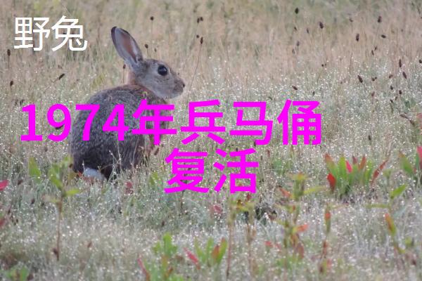 吕不韦策略大师与盗跖的对决