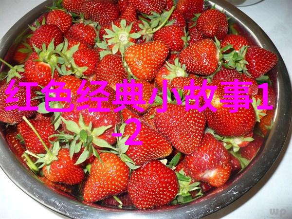 解读中国古代文化传统中的寓意与象征从红楼梦到水浒传的视角