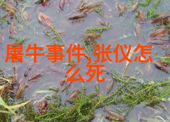小猫对着月亮说二年级寓言故事中的小猫与月亮的温馨对话