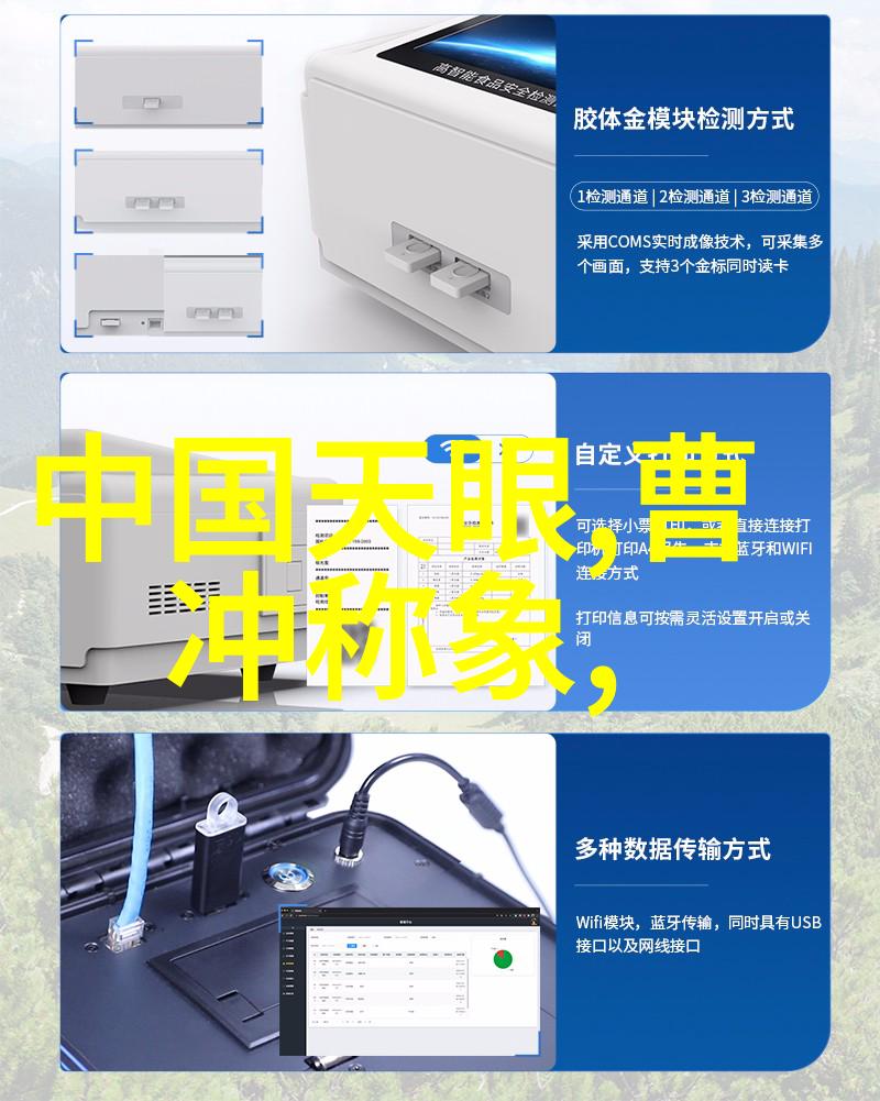 阎崇年被窃明粉丝掌掴
