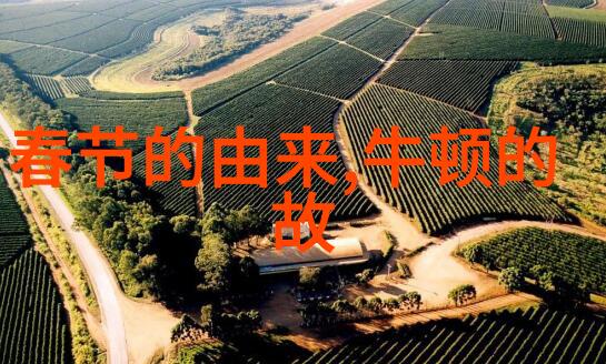 传统文化小故事-守护古韵寻觅家园的千年情
