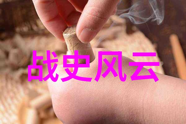 祸起扫雪兽