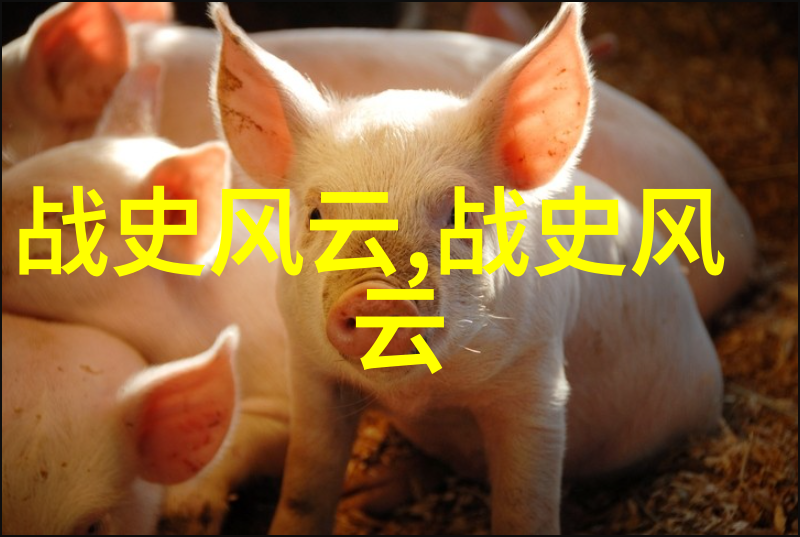 沙丘我的荒漠奇遇