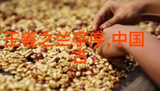 罗马帝国的兴衰从凯撒大帝到君士坦丁堡的陷落